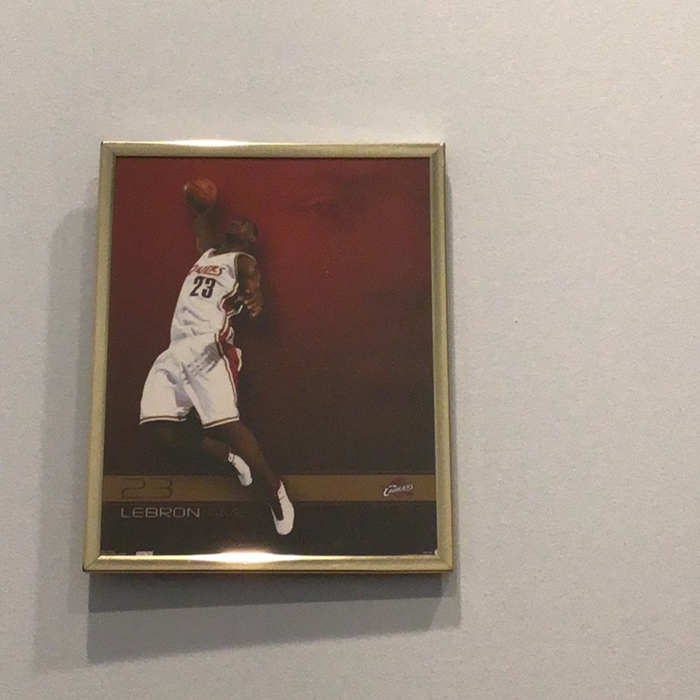 Lebron James poster